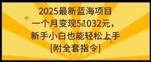 2025最新蓝海项目一个月变现1w+新手小白也能轻松上手【附全套指令】-数智网创