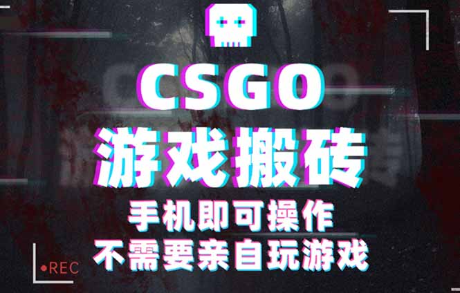 CSGO游戏挂机捡漏，单日扫货500+，年底小高峰上车可吃肉，手机即可操作…-数智网创
