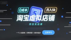 淘宝虚拟店铺项目实战课，一个人也能做，无需货源、0成本起步，月入5k-数智网创