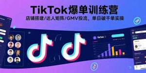 TikTok爆单训练营,店铺搭建/达人矩阵/GMV投流,单日破千单实操-数智网创