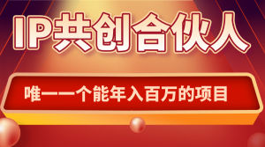 如何通过IP共创合伙人一起合伙“卖项目”-数智网创