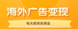 用手机看海外广告，每天10分钟，单机日入20+，无需养鸡，保姆级教程-数智网创
