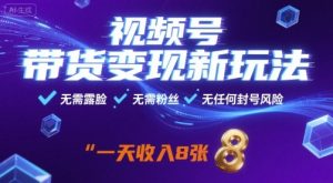 视频号带货变现新玩法，无需露脸，无需粉丝，无任何封号风险，一天收益8张【揭秘】-数智网创