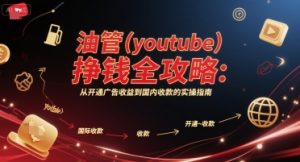 油管(youtube)挣钱全攻略：从开通广告收益到国内收款的实操指南(更新)-数智网创
