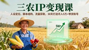 三农IP变现课,人设定位、脚本结构、流量获取,30天打造月入5万+带货账号-数智网创