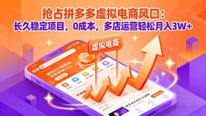 抢占拼多多虚拟电商风口：长久稳定项目，0成本，多店运营轻松月入3W+-数智网创