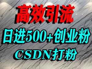 怎么打创业粉？CSDN又一个你不知道的打粉引流神秘平台，单人日引500+精准流量-数智网创