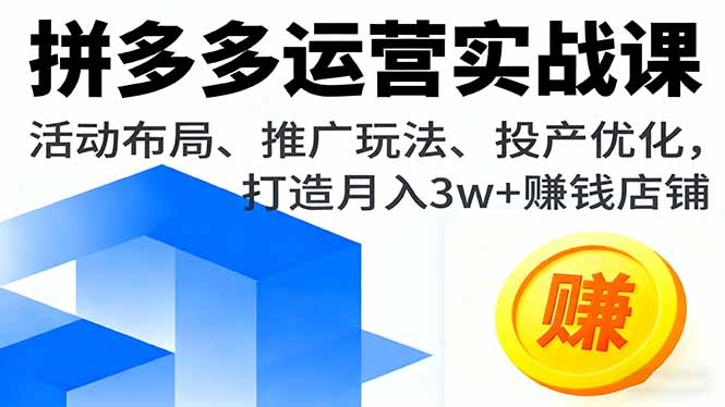 拼多多运营实战课，活动布局、推广玩法、投产优化，打造月入3w+赚钱店铺-数智网创