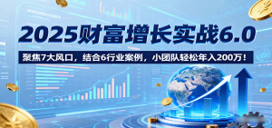 2025财富增长实战6.0，聚焦7大风口，结合6行业案例，小团队轻松年入200万！-数智网创