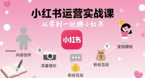 小红书运营实战课，从零到一玩賺小红书-数智网创