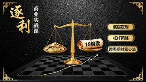 《逐 利》商业实战课,底层逻辑、杠杆策略、18锦囊,跨周期财富心法-数智网创