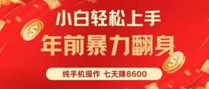 七天狂赚8600，小白纯手机操作，日入1000+-数智网创