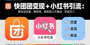 快团团变现+小红书引流：解决没流量、难变现、缺帮卖三大痛点 实现月入3w+-数智网创