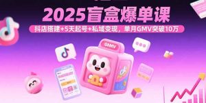 2025盲盒爆单课，抖店搭建+5天起号+私域变现，单月GMV突破10万-数智网创