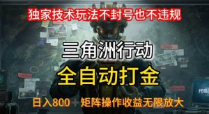 三角洲板砖揭秘项目免费送卡密-数智网创