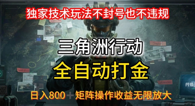 三角洲板砖揭秘项目免费送卡密-数智网创