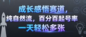 成长感悟赛道，纯自然流，百分百起号率 一天轻松多张-数智网创