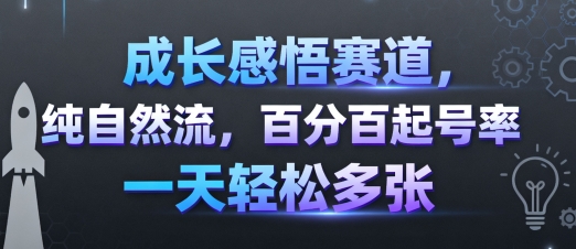 成长感悟赛道，纯自然流，百分百起号率 一天轻松多张-数智网创