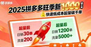 2025拼多多旺季新老店铺——快速低成本起量破千单-数智网创