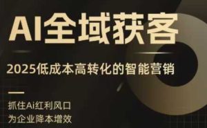AI全域获客实训营，2025低成本高转化的智能营销，精准找客，高效营销-数智网创