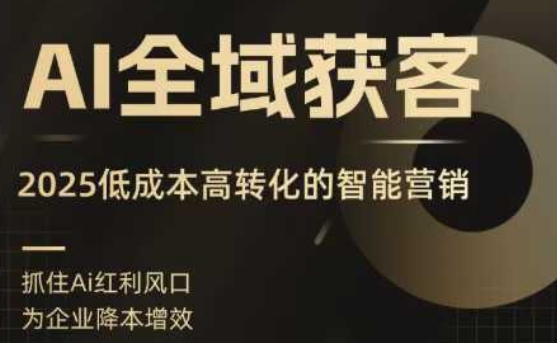 AI全域获客实训营，2025低成本高转化的智能营销，精准找客，高效营销-数智网创
