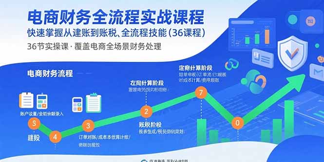 电商财务全流程实战课程:快速掌握从建账到报税的全流程技能(36节课-数智网创