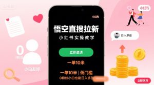 悟空直搜拉新小红书实操教学，一单10米，低门槛，0粉丝小白也能日入多张-数智网创