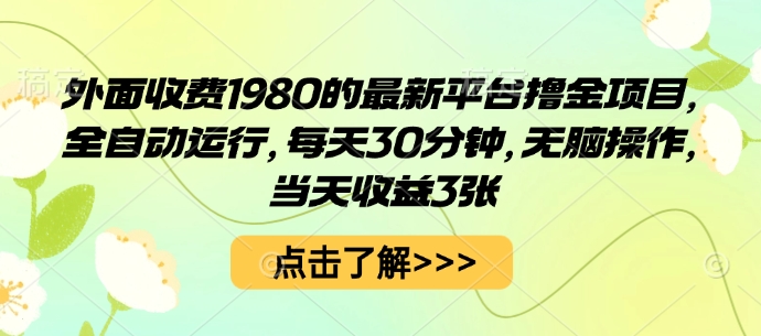 外面收费1980的最新平台撸金项目,全自动运行,每天30分钟,无脑操作,当天收益3张【揭秘】-数智网创