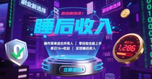 副业新选择！操作简单适合所有人，零经验也能上手，单日1k+收益，实现睡后收入【揭秘】-数智网创