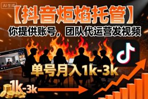 【抖音炬焰托管】你提供账号,团队代运营发视频,单号月入1k+【揭秘】-数智网创