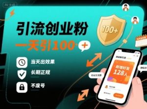 引流创业粉，一天引100+，当天出效果，长期正规，不废号-数智网创