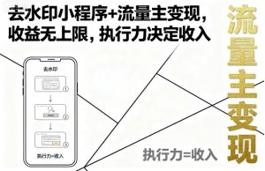 去水印小程序+流量主变现，收益无上限，执行力决定收入-数智网创