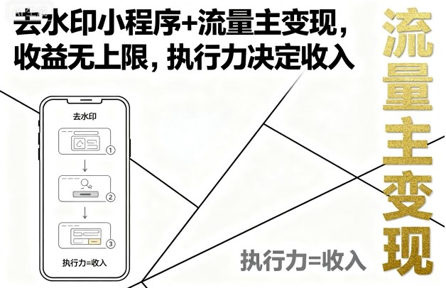 去水印小程序+流量主变现，收益无上限，执行力决定收入-数智网创