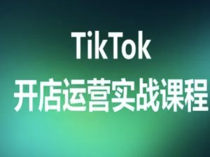 TikTok开店运营实战课程，TK跨境电商实操全流程-数智网创