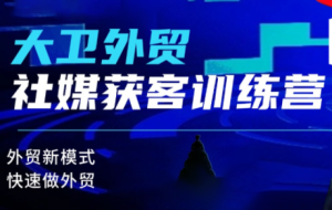 大卫老师·外贸社媒获客独家训练营(更新10月)-数智网创