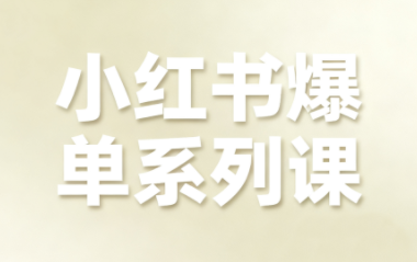 尼采老师·小红书爆单系列课-数智网创