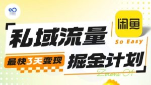 私域流量掘金计划实战训练营，最快3天变现-数智网创