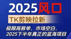 2025风口TK剪映capcut拉新项目，极限高客单，市场空白，2025下半年真正的蓝海项目-数智网创