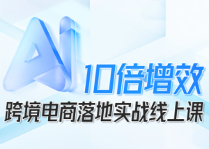 法老Pharaoh·跨境电商10倍增效,AI落地实战课-数智网创