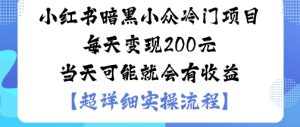 小红书暗黑小众冷门项目每天变现2张当天可能就会有收益-数智网创