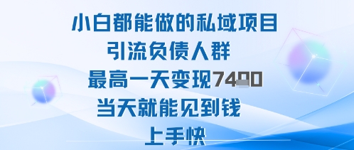 2025年小白都能做的私域项目引流负债人群最高一天变现1k+高变现难度低当天就能见到钱上手快-数智网创