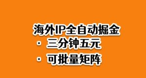 海外ip全自动掘金,2025必做蓝海项目,3分钟落地,矩阵直接开干【揭秘】-数智网创