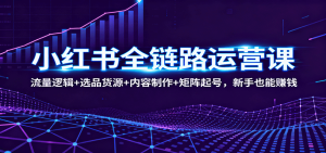 小红书全链路运营课：流量逻辑+选品货源+内容制作+矩阵起号，新手也能赚钱-数智网创