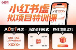 小红书虚拟项目特训课，帮你从0到1打造稳定盈利的店铺，抓住流量红利(更新9月)-数智网创