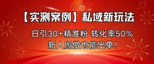 【实测案例】私域新玩法,日引30+精准粉,转化率50%,新人照做也能出单!-数智网创