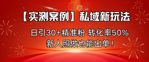 【实测案例】私域新玩法，日引30+精准粉，转化率50%，新人照做也能出单！-数智网创