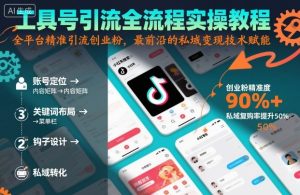 工具号引流全流程保姆级实操教程,全平台精准引流创业粉,最前沿的私域变现技术赋能-数智网创