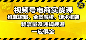 视频号电商实战课:推流逻辑、全案解析,话术框架,稳流量及违规规避等-数智网创