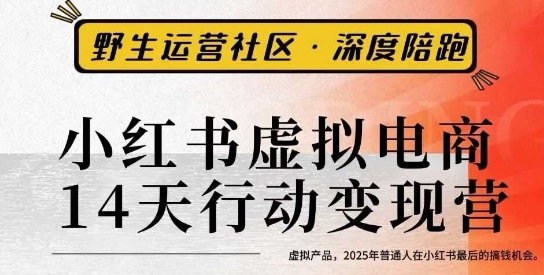 小红书虚拟电商14天变现训练营3.0，​虚拟产品，2025年普通人在小红书最后的搞钱机会-数智网创