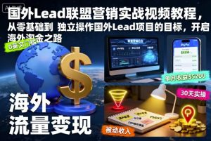 国外Lead联盟营销实战视频教程，从零基础到独立操作国外Lead项目的目标，开启海外淘金之路-数智网创